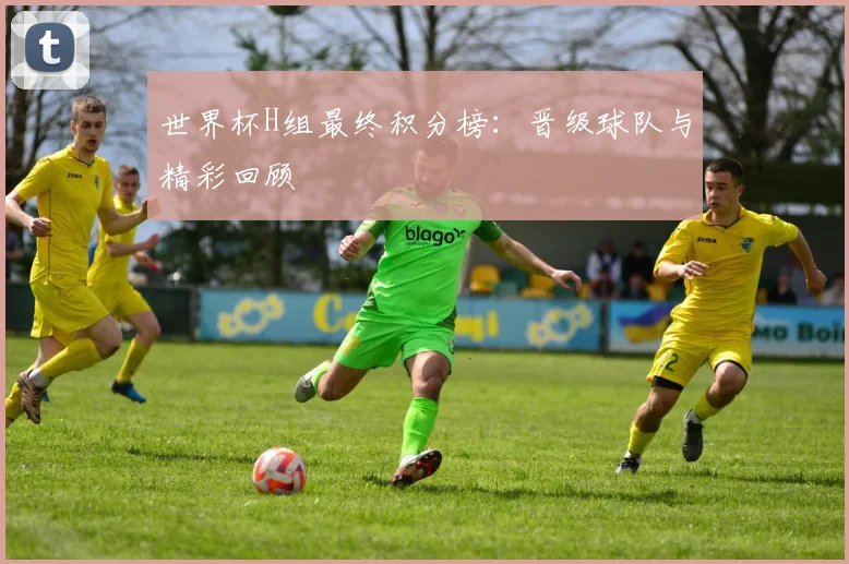 世界杯H组最终积分榜:晋级球队与精彩回顾